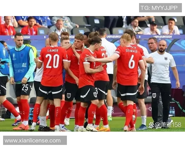 波兰队憾负瑞典，无缘欧洲杯四强