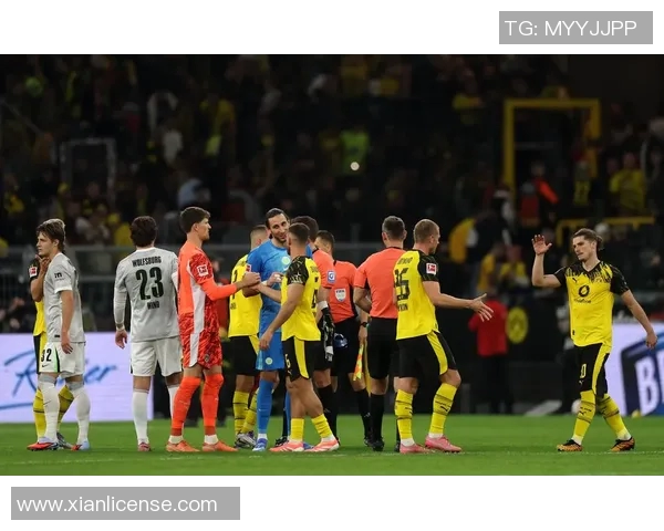 多特蒙德主场胜RB莱比锡,紧追领头羊步伐 多特蒙德主场胜RB莱比锡,紧追领头羊步伐