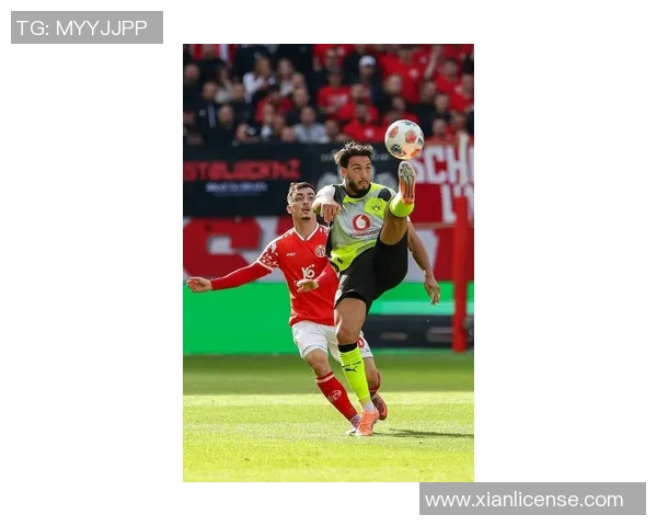 多特新援入选德甲最佳，球队未来充满希望