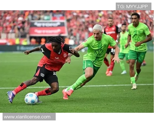 汉堡主场大胜沃尔夫斯堡，展现强大实力！