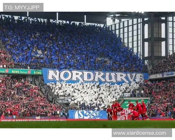 沙尔克04连八轮不胜，降级危机临头，球迷饱受折磨