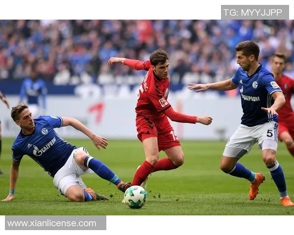 沙尔克主场大胜弗赖堡，豪取3分！