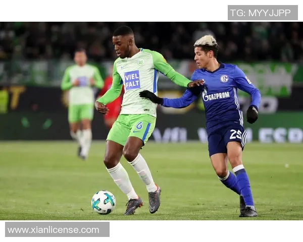 沙尔克04德甲连败榜首，本赛季前景堪忧